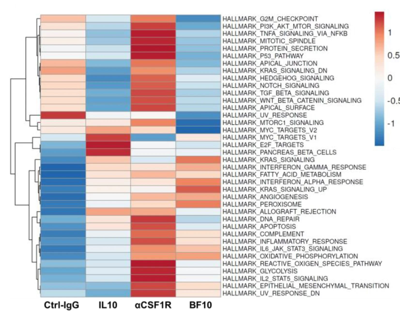 Open access visualization of Heatmap, Clustered, GSEA, Pathways, Treatment Groups