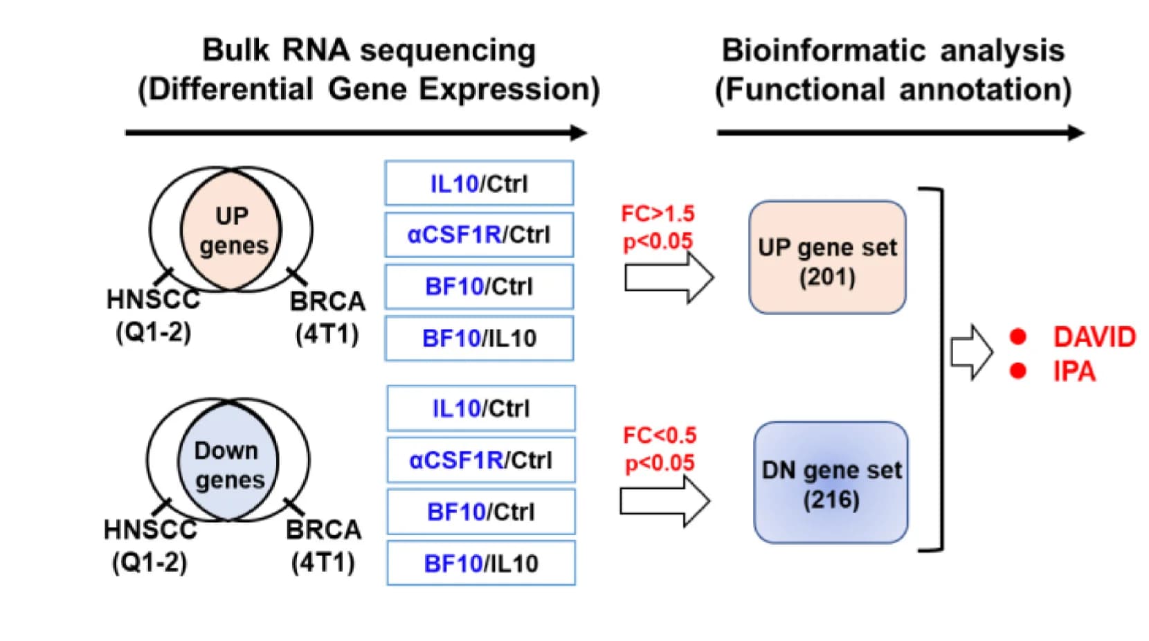 Open access visualization of Workflow, Flowchart, Bioinformatic Strategy, Tumor Microenvironment, Tumor Models