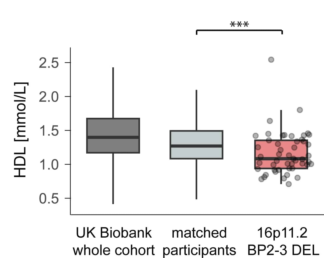 Open access visualization of Box Plot, Scatter Plot, HDL-cholesterol, UKBB Cohort, Matched Participants