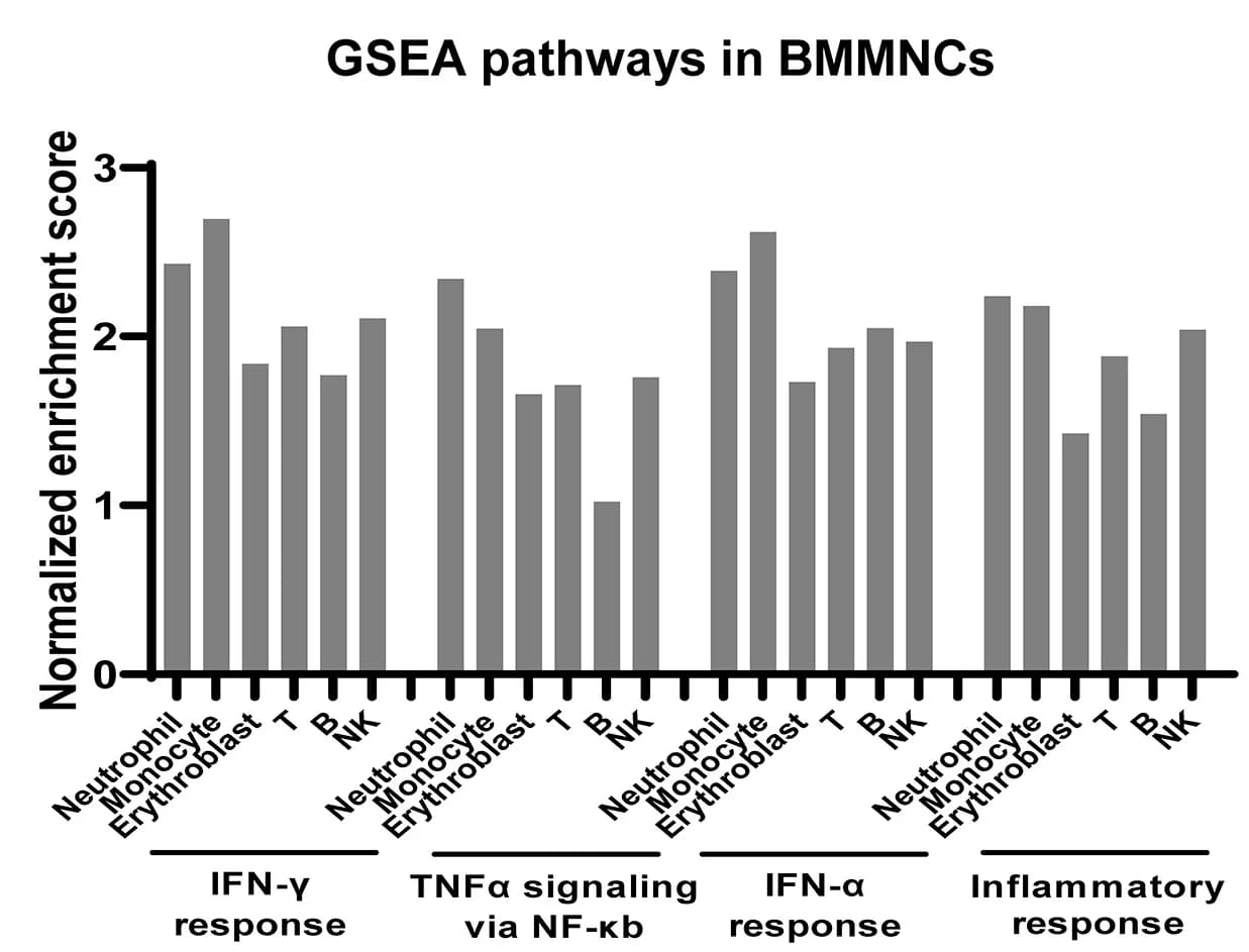 Open access visualization of Bar Plot, Gene Set Enrichment Analysis, GSEA, Expressed Genes, BMMNC Subpopulations