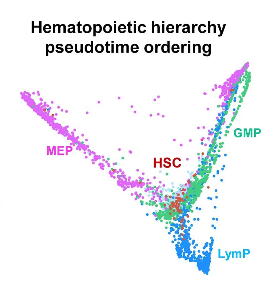 Open access visualization of Scatter Plot, PCA, UMAP, Hematopoietic Hierarchy, Pseudotime Ordering