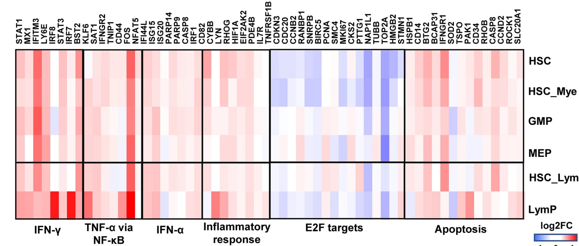 Open access visualization of Heatmap, Gene Expression, Differentially Expressed Genes, Functional Pathways, IFN-gamma Signaling