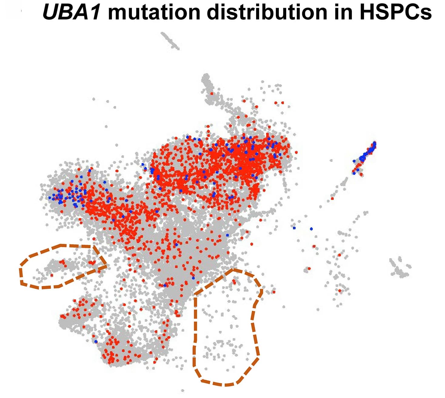 Open access visualization of Scatter Plot, UMAP, UMAP Plot, HSPCs, VEXAS Patients