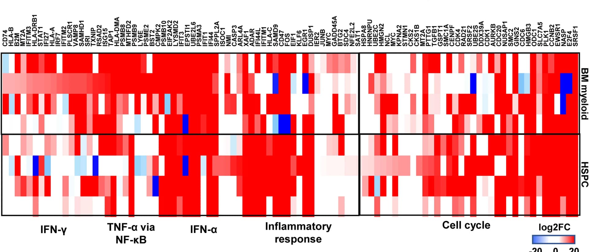 Open access visualization of Heatmap, Gene Expression, Differentially Expressed Genes, Functional Pathways, IFN-gamma Signaling