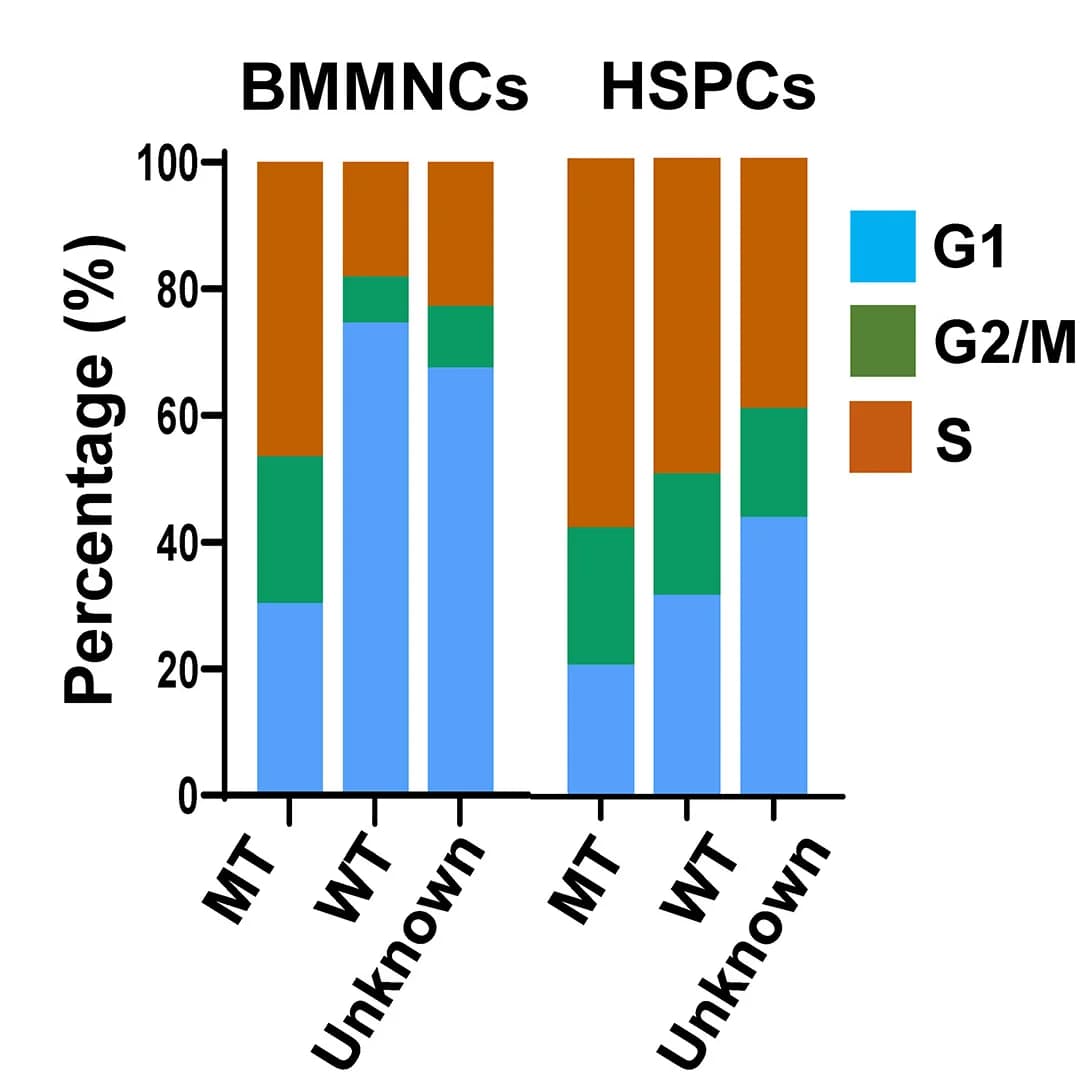 Open access visualization of Stacked Bar Plot, Bar Plots, BMMNCs, HSPCs, Cell Cycle