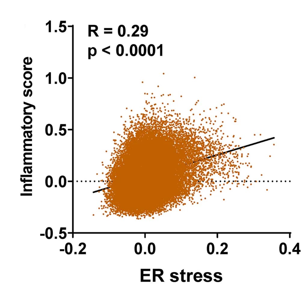 Open access visualization of Scatter Plot, Regression Plot, Correlation, Inflammatory score, ER stress