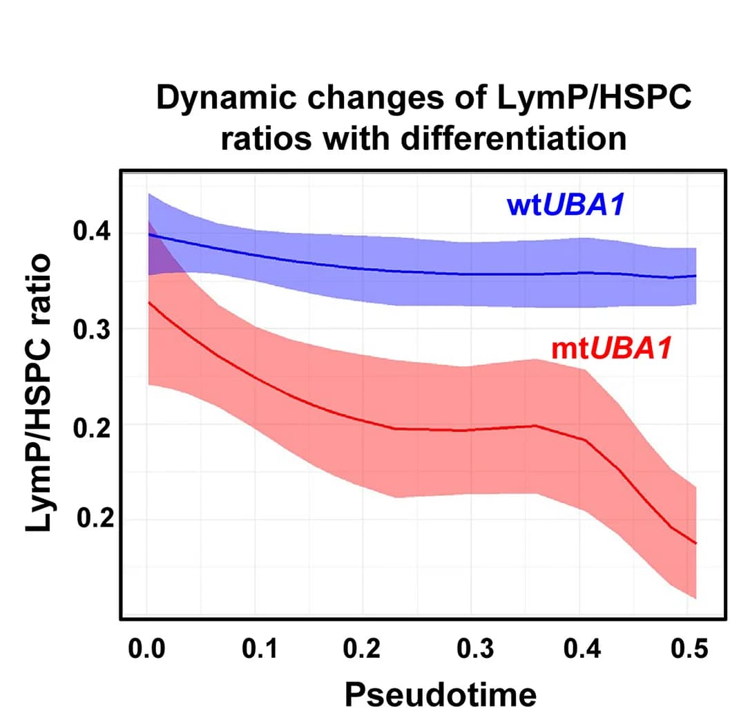 Open access visualization of Line Plot, Error Bars, wtUBA1LymP, mtUBA1LymP, HSPCs