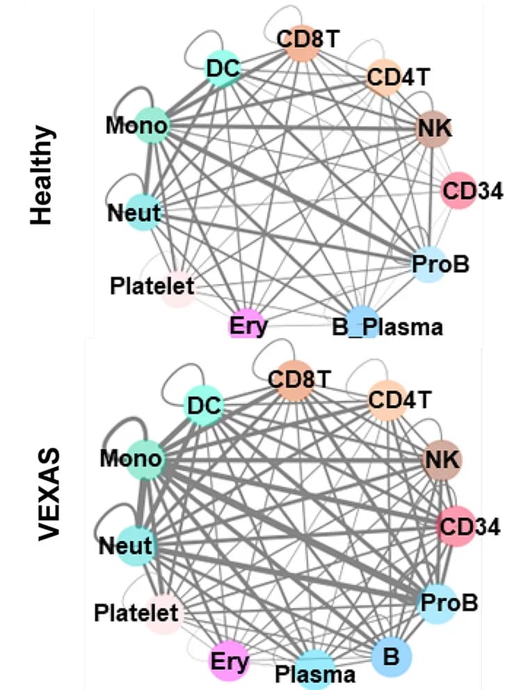 Open access visualization of Network, Pathway, Ligand-receptor Pairs, BMMNCs, Cell Types