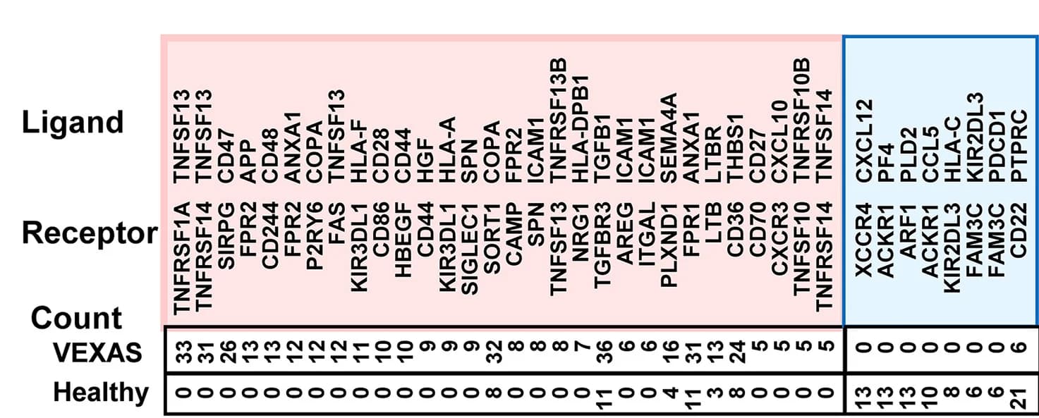 Open access visualization of Heatmap, Ligand-receptor Pairs, VEXAS Patients, Healthy Donors, BMMNCs