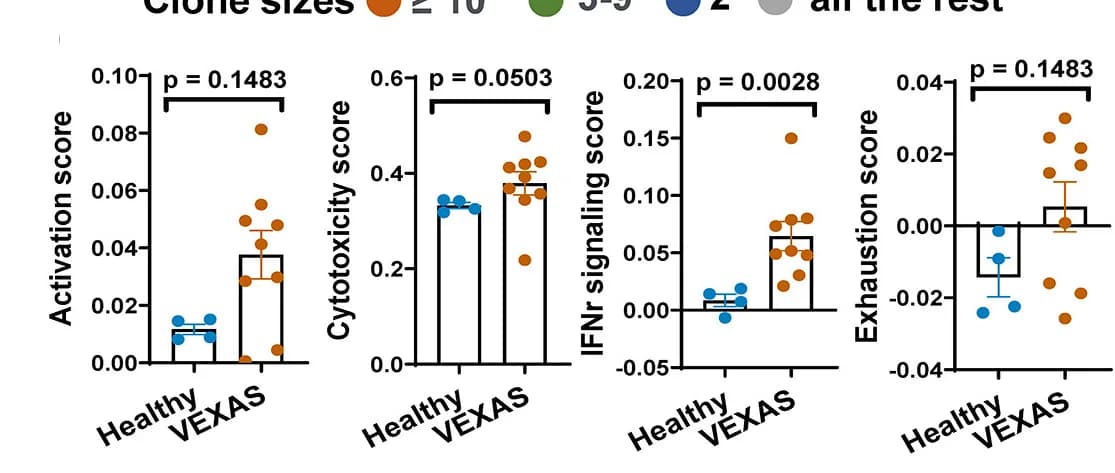 Open access visualization of Bar Plot, Scatter Plot, Error Bars, T Cell Activation Score, Cytotoxicity Score