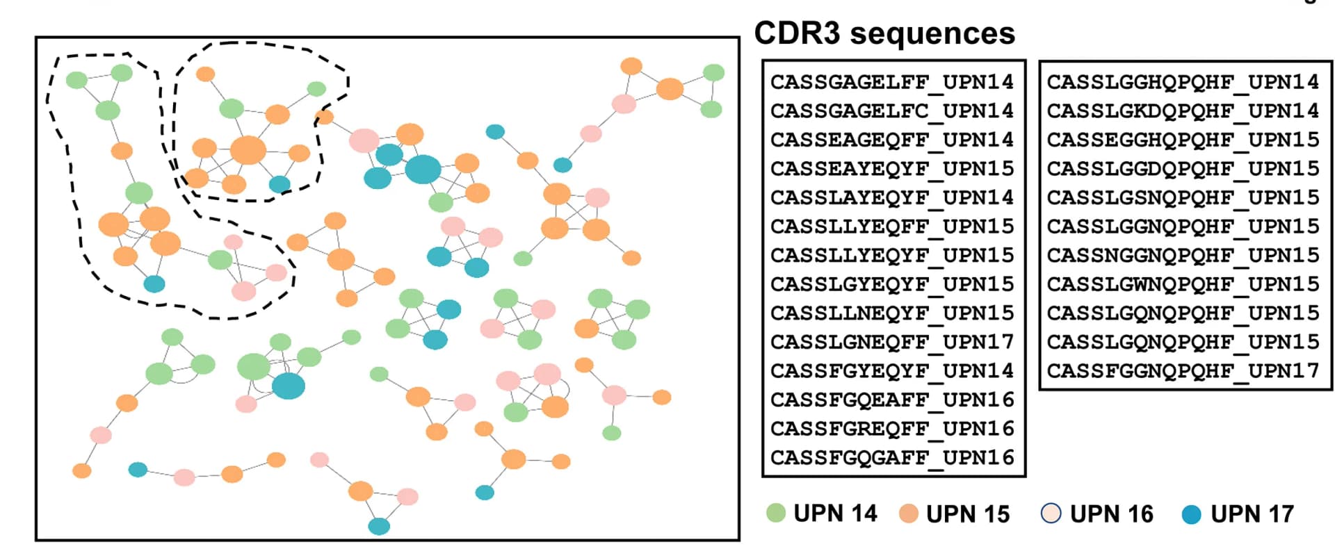 Open access visualization of Network, TCRs, VEXAS Patients, GLIPH2, TCR Sequences