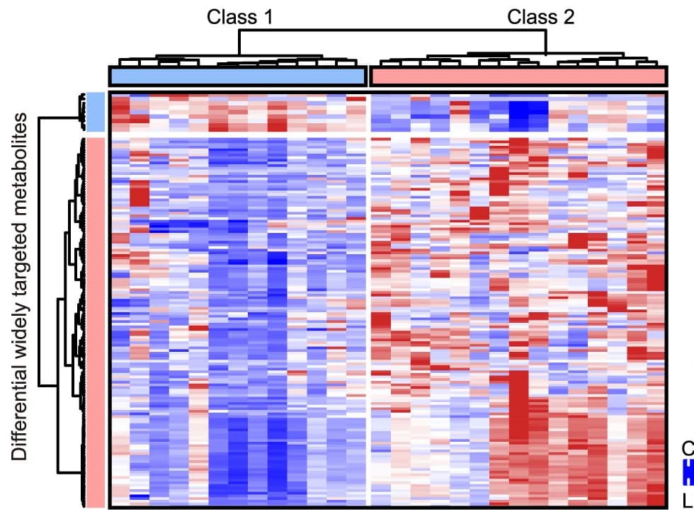 Open access visualization of Heatmap, Clustered, PDAC Organoids, Metabolite Abundance, Differential Metabolites