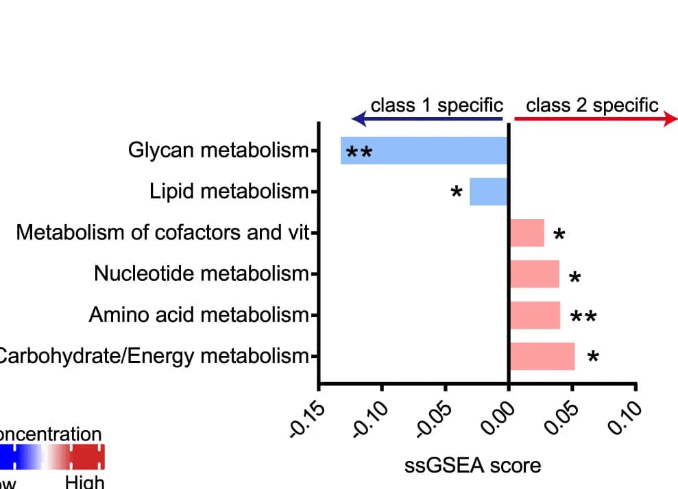 Open access visualization of Bar Plot, Metabolic Ontology Classes, Class 1 Organoids, Class 2 Organoids, ssGSEA Score