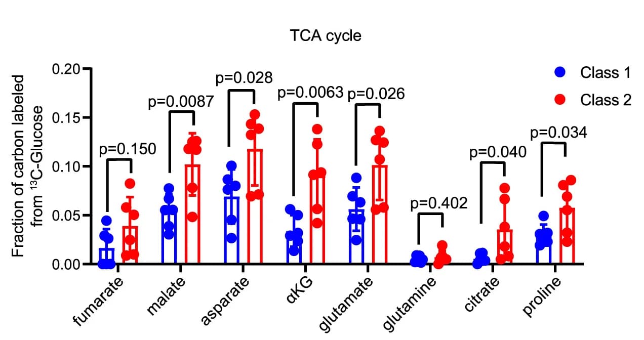Open access visualization of Bar Plot, Error Bars, Scatter Plot, Labeled Metabolites, TCA Cycle