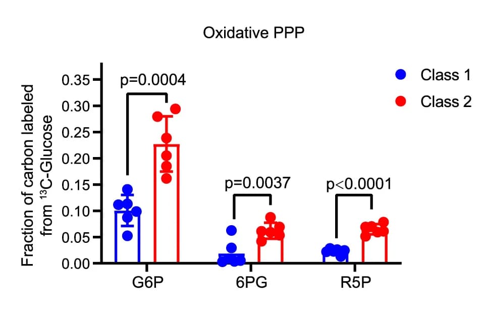 Open access visualization of Bar Plot, Error Bars, Scatter Plot, Labeled Metabolites, Oxidative PPP