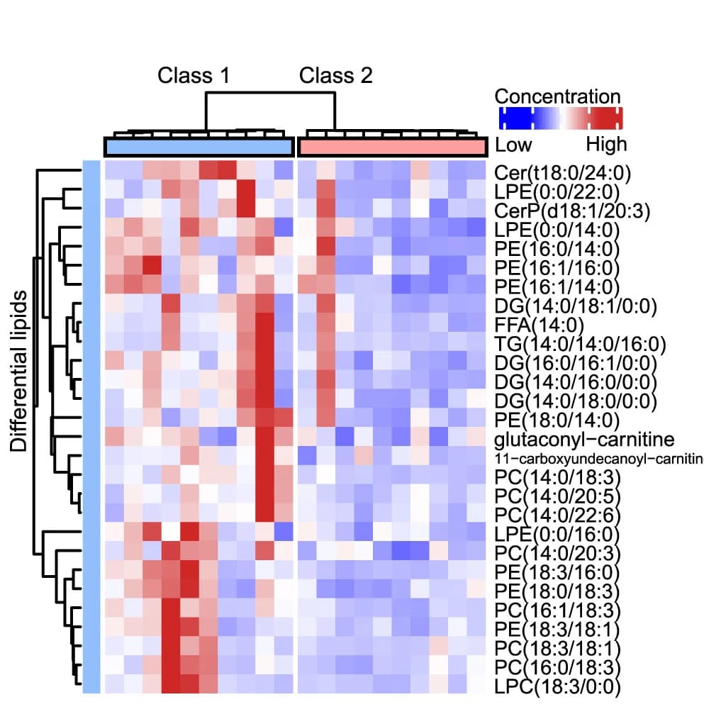 Open access visualization of Heatmap, Clustered, Lipidomics Assay, Lipid Metabolites, Class 1 Organoids