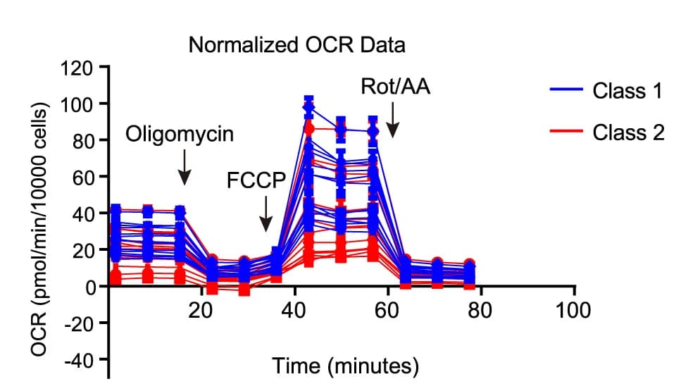 Open access visualization of Line Plot, Error Bars, Class 1 Organoids, Class 2 Organoids, Oligomycin