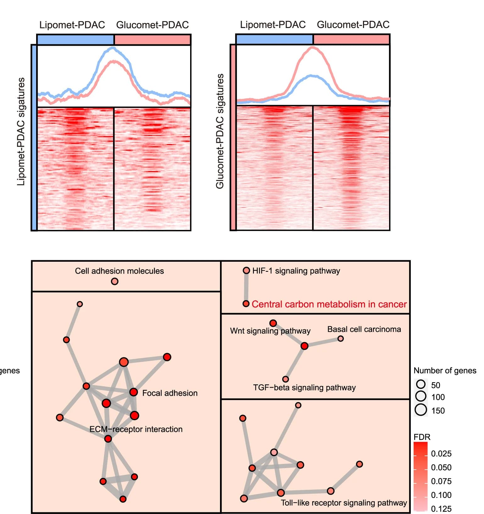 Open access visualization of Network, Line Plot, Heatmap, ATAC-Seq, Chromatin Accessibility