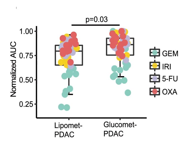 Open access visualization of Box Plot, Scatter Plot, Comparison of AUCs, Metabolic subtypes, Boxplot