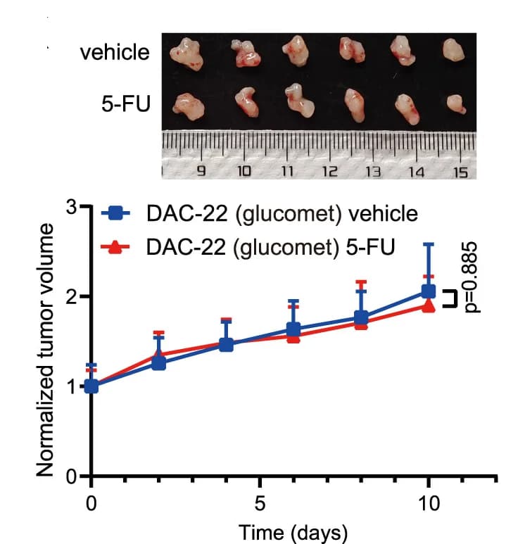 Open access visualization of Line Plot, Error Bars, Photo, 5-FU responsiveness test, ODX models