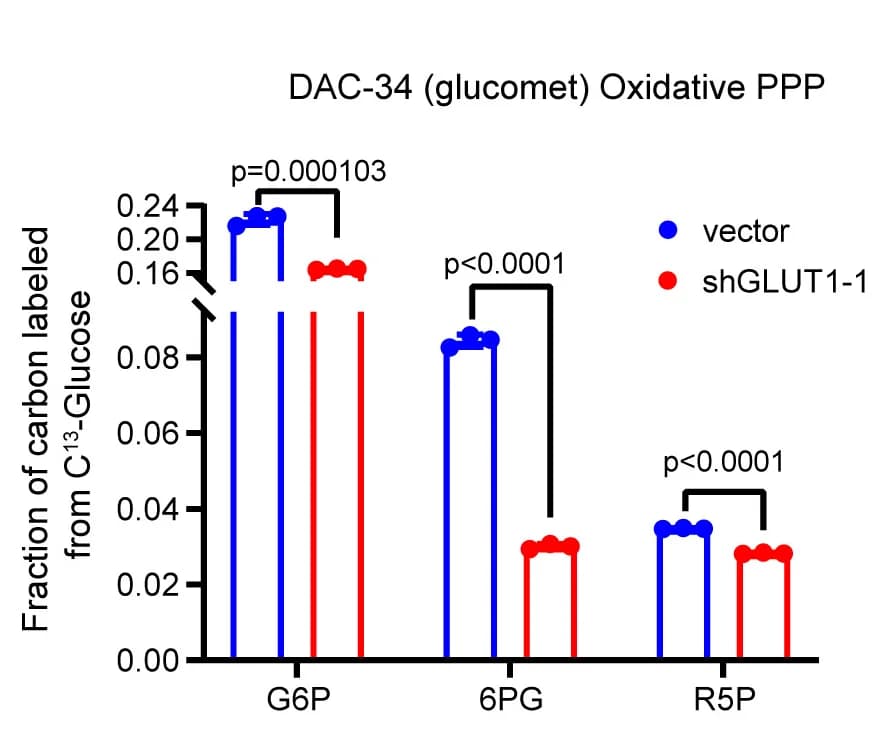 Open access visualization of Bar Plot, Error Bars, Clustered, Oxidative PPP Metabolites, Organoids