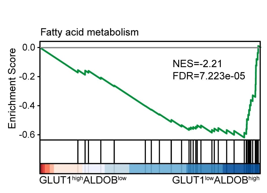 Open access visualization of Line Plot, Line Step, TCGA Patients, PDAC, GLUT1