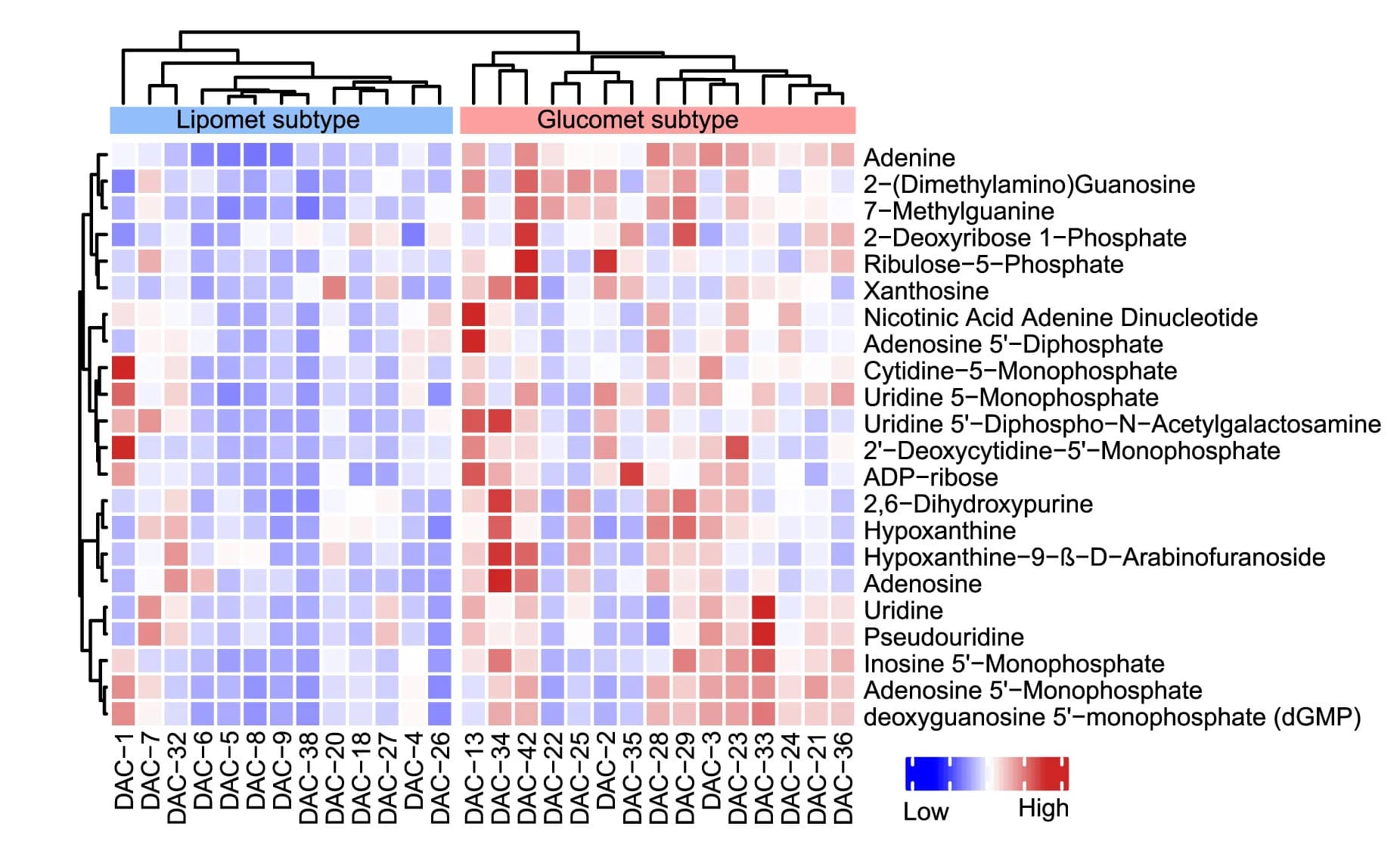 Open access visualization of Heatmap, Clustered, Nucleoside, Nucleoside Derivatives, Glucomet-PDAC
