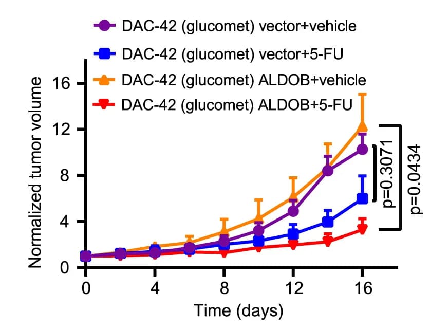 Open access visualization of Line Plot, Error Bars, ALDOB, Overexpression, 5-FU