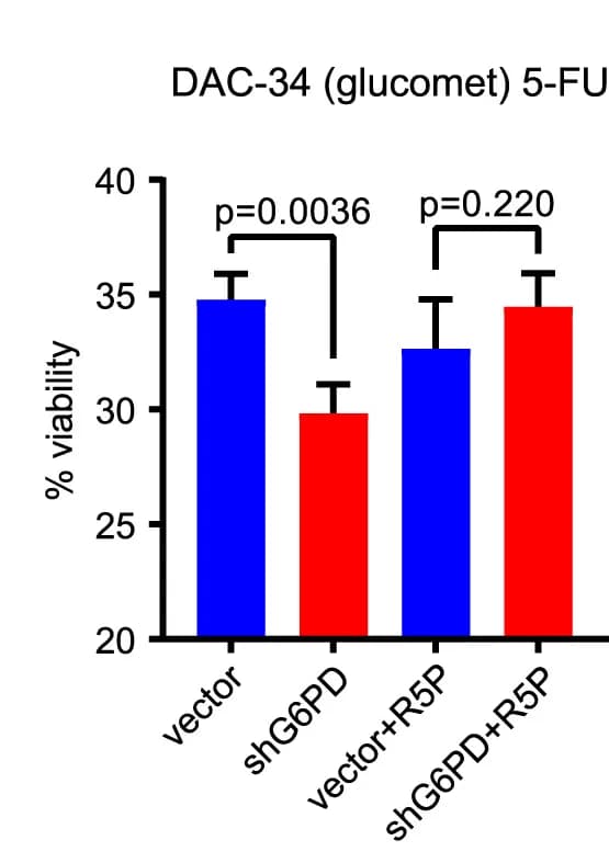 Open access visualization of Bar Plot, Error Bars, Clustered, R5P, 5-FU