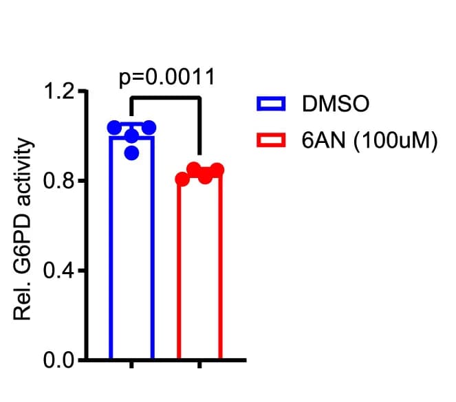 Open access visualization of Bar Plot, 6AN, G6PD Activity, Organoids