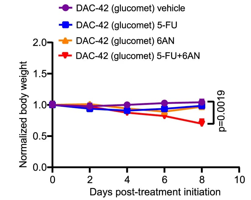 Open access visualization of Line Plot, Body Weights, SCID Mice