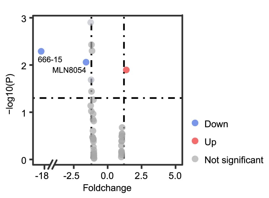 Open access visualization of Volcano Plot, Scatter Plot, 5-FU Responsiveness, CellTiter-Glo Assays