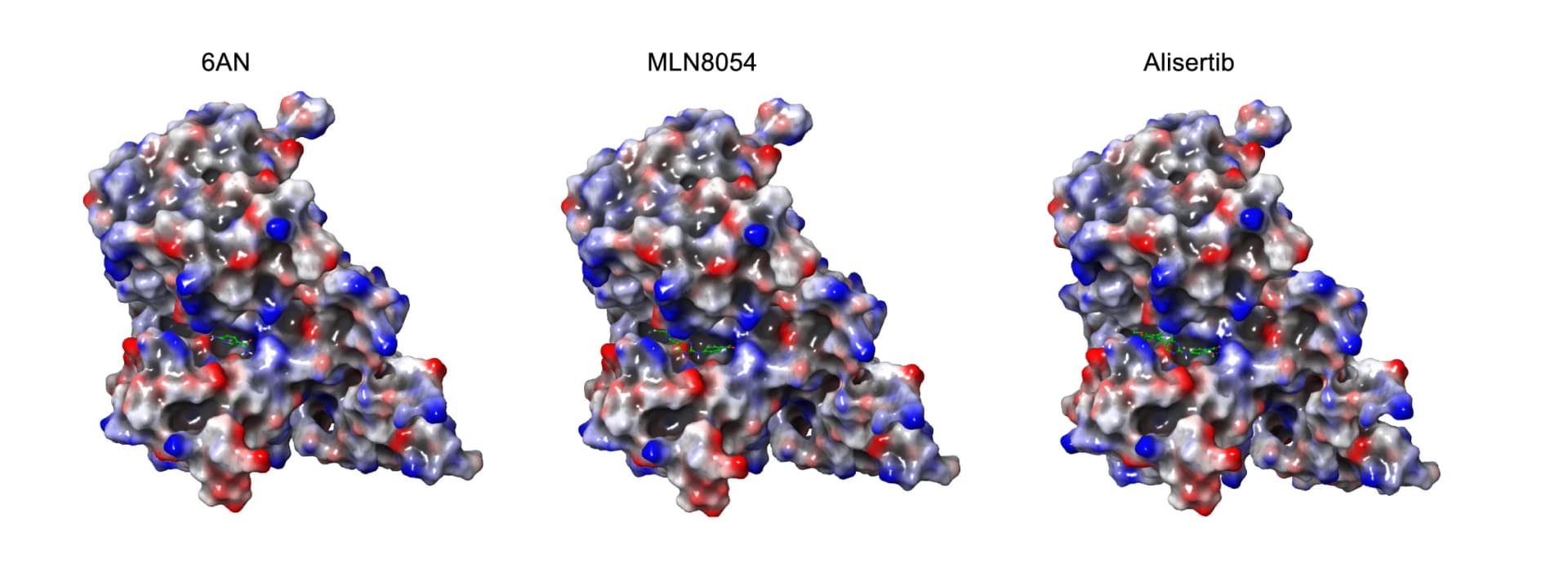 Open access visualization of Protein Structure, Interaction Sites, G6PD Protein, 3D Structure, 6AN