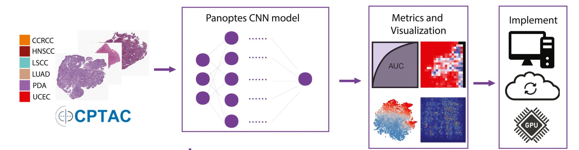 Open access visualization of Workflow, Illustration, Heatmap, Scatter Plot, Microscopy