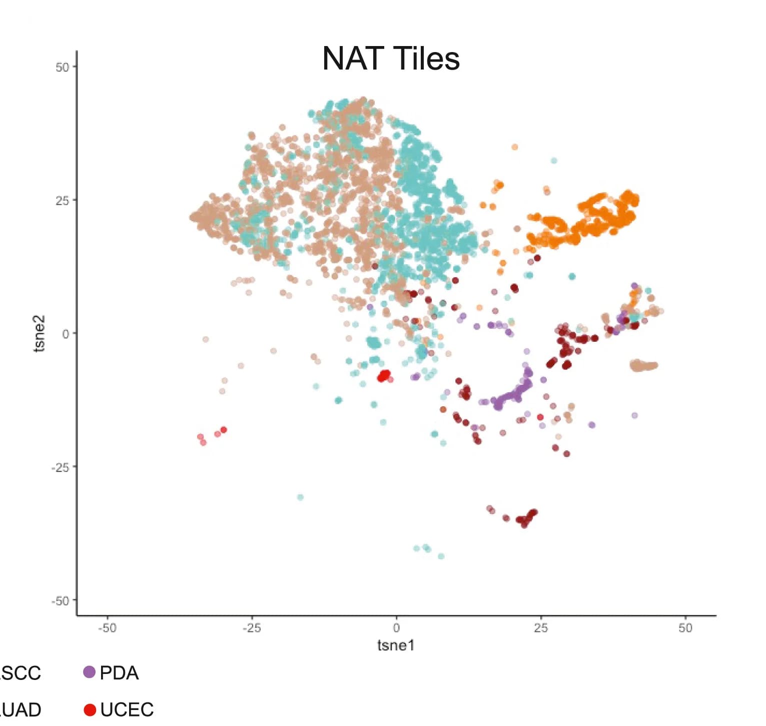 Open access visualization of Scatter Plot, UMAP, PCA, Feature Extraction, NAT Tiles