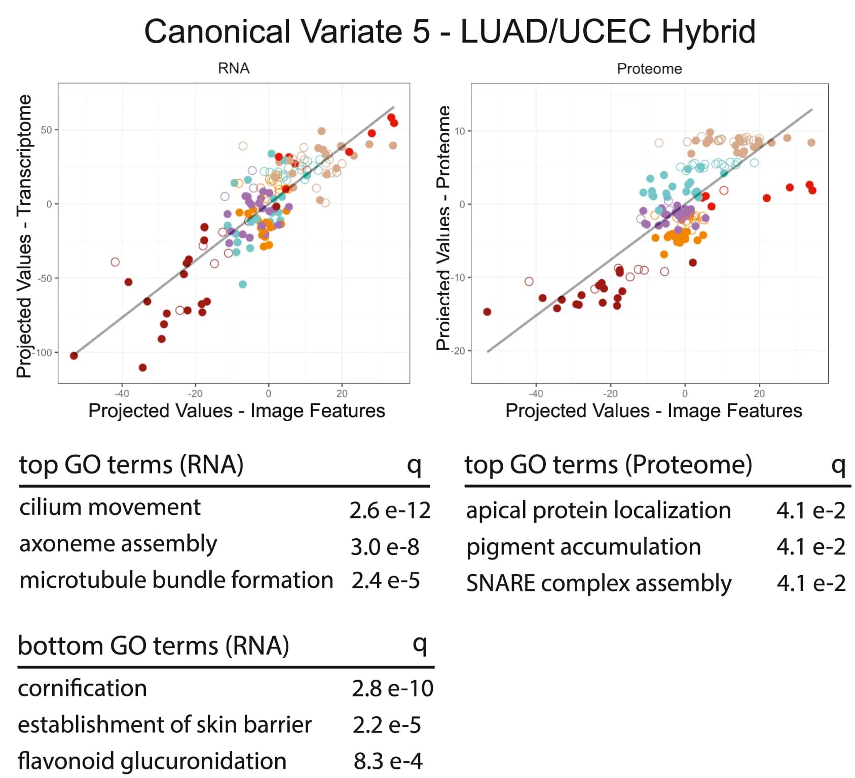Open access visualization of Scatter Plot, Regression Plot, Table Image, CCA, UCEC