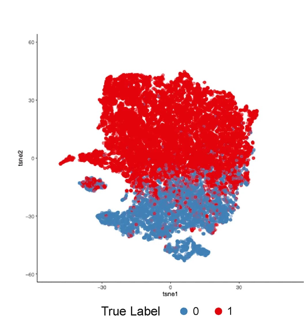 Open access visualization of Scatter Plot, UMAP, Feature Extraction, Tumorigenesis Imaging Model, tSNE