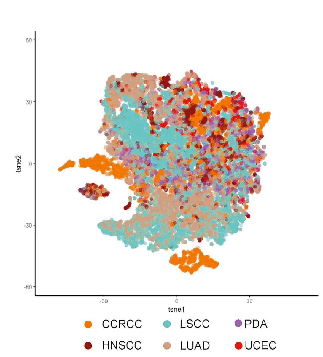 Open access visualization of Scatter Plot, UMAP, PCA, Feature Extraction, Tumorigenesis Imaging Model