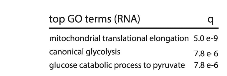 Open access visualization of Table Image, Tile Scoring, Biological Processes