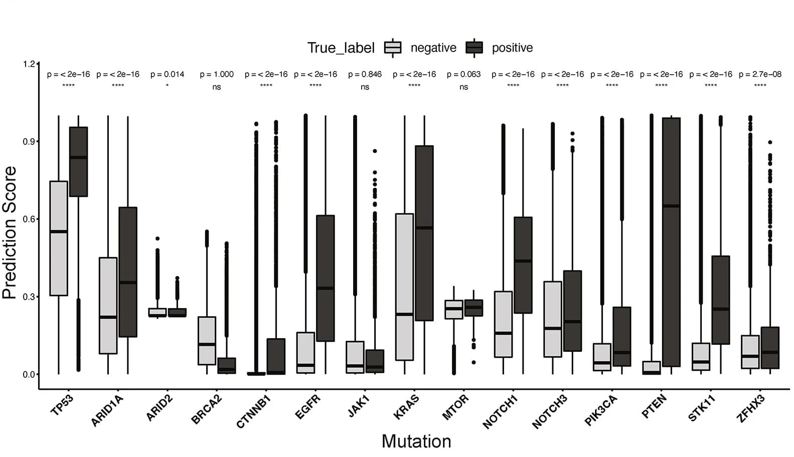 Open access visualization of Box Plot, Scatter Plot, Wilcoxon Tests, Prediction Scores, Tiles