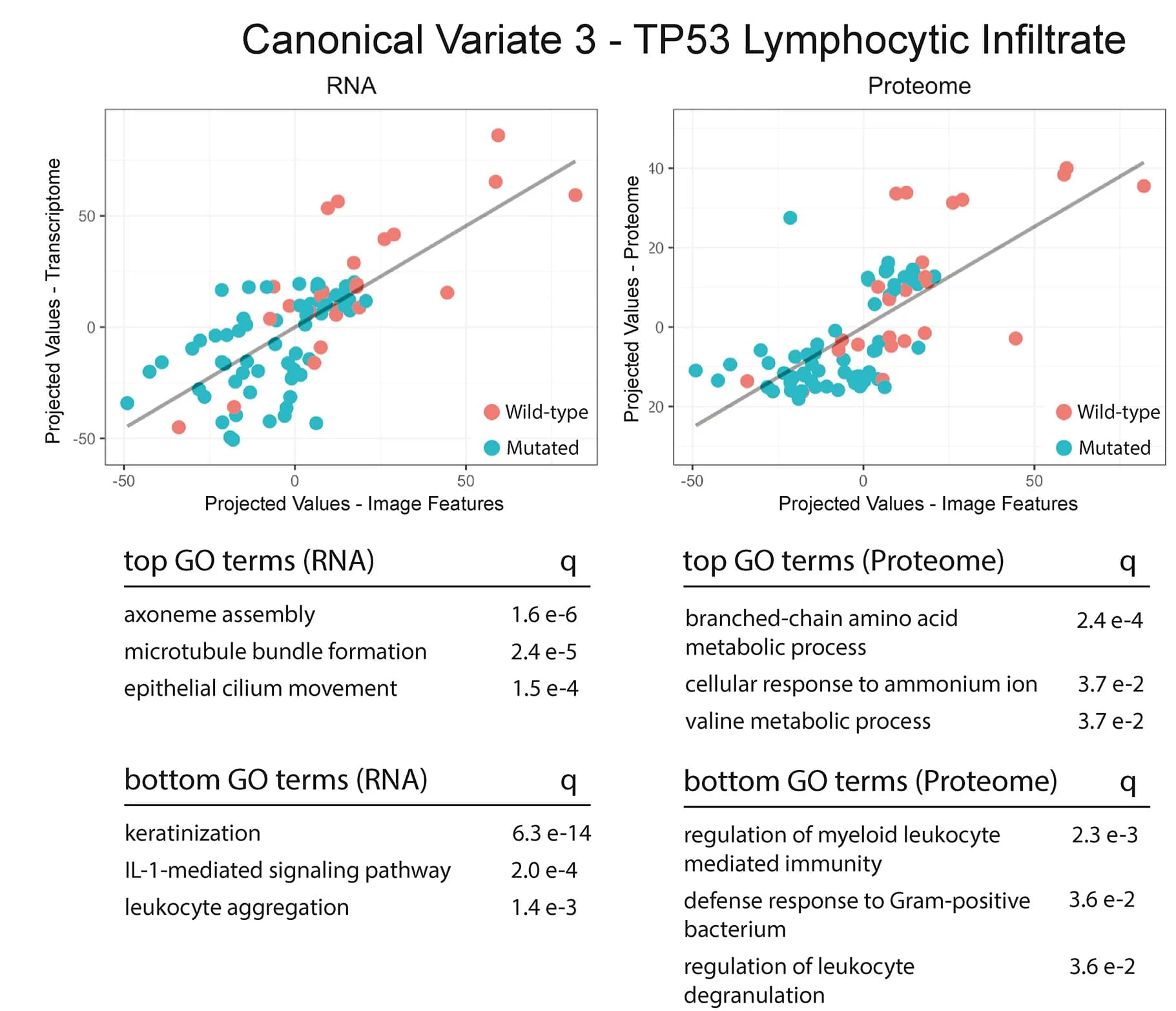 Open access visualization of Scatter Plot, Regression Plot, Table Image, Canonical Variate, IL-1 Activity