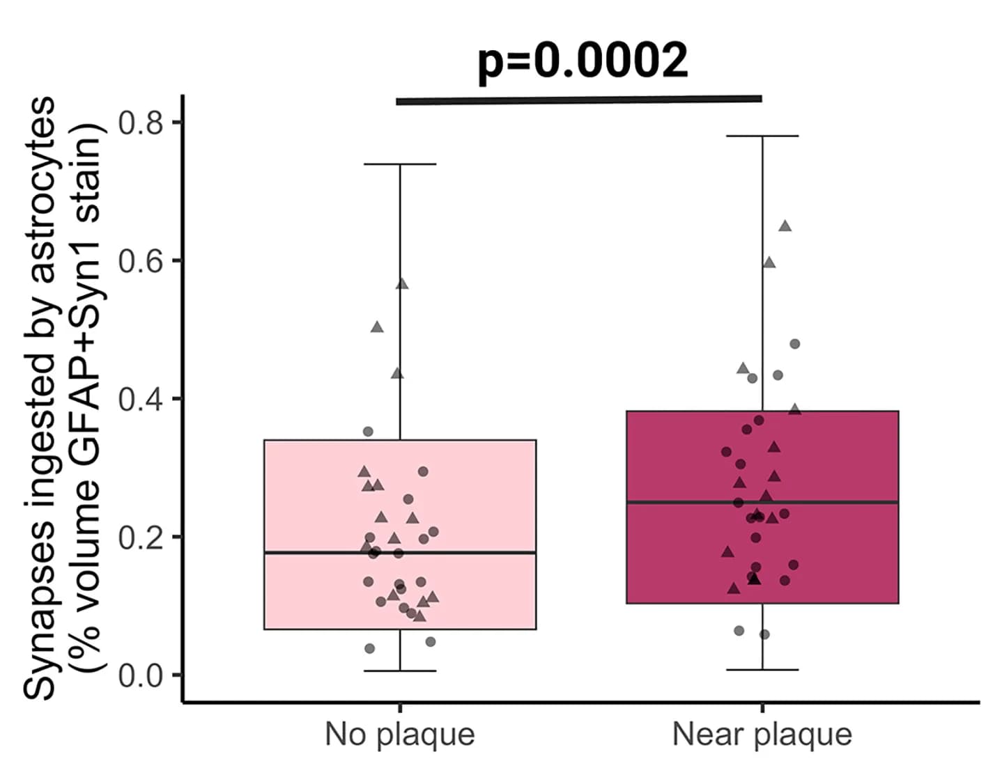 Open access visualization of Box Plot, Scatter Plot, Synapsin 1, Astrocytes, A Plaques