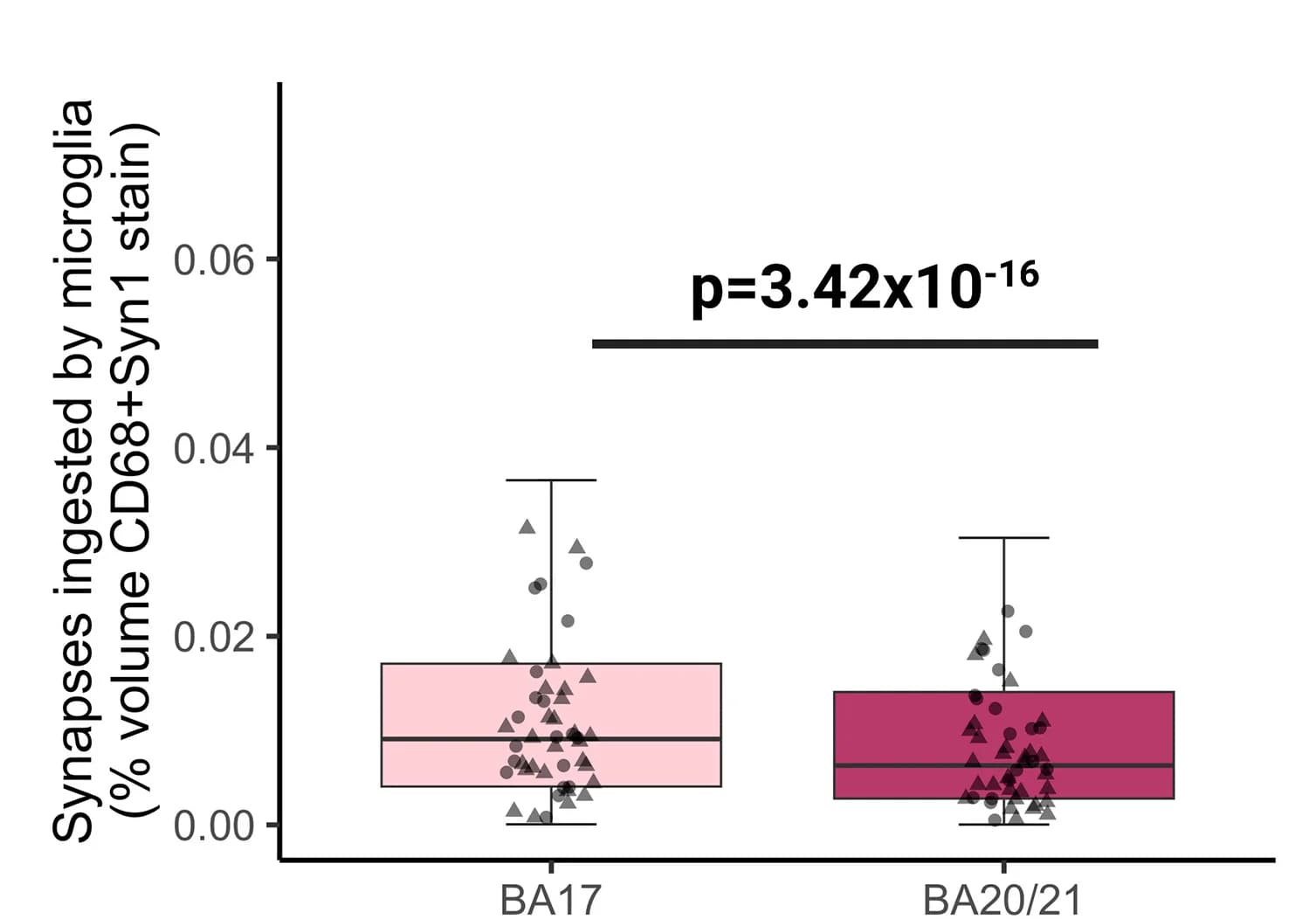 Open access visualization of Box Plot, Scatter Plot, Primary Visual Cortex, Inferior Temporal Cortex, Synapsin 1