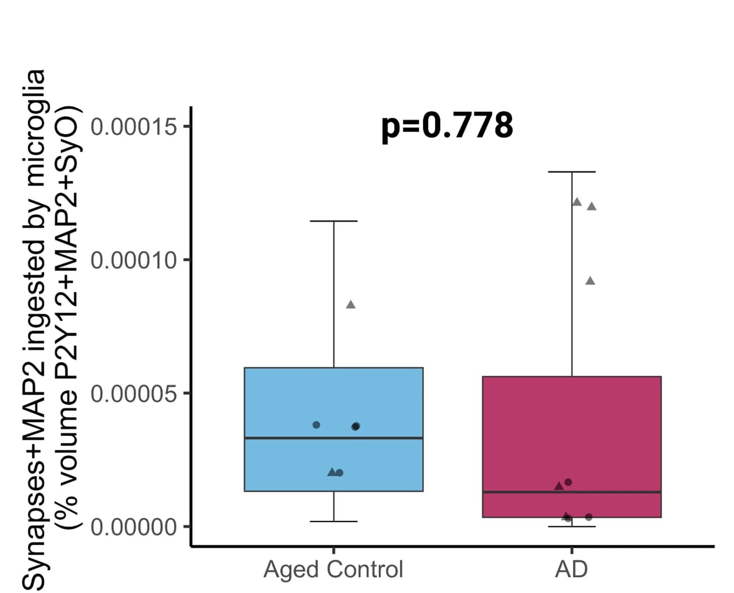 Open access visualization of Box Plot, Scatter Plot, Microglia, Aged Controls, Post Hoc Tukey Corrected Tests