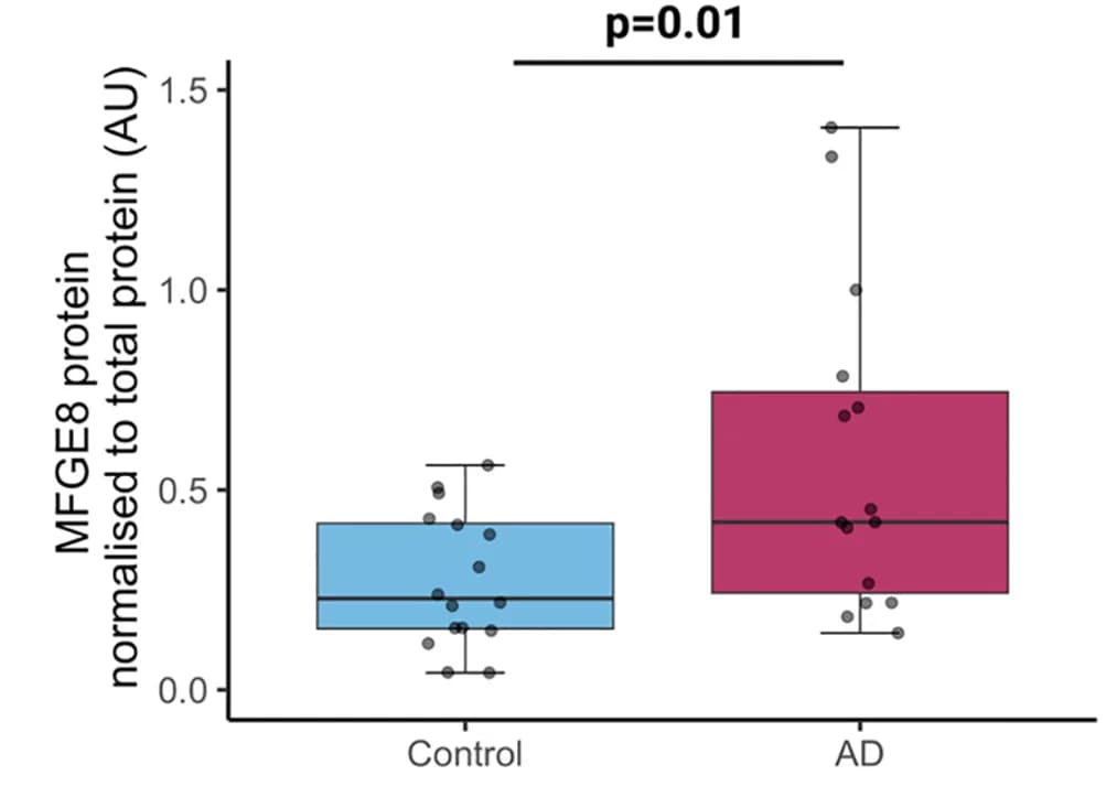 Open access visualization of Box Plot, Scatter Plot, Dot Blots, Synaptoneurosomes, MFG-E8