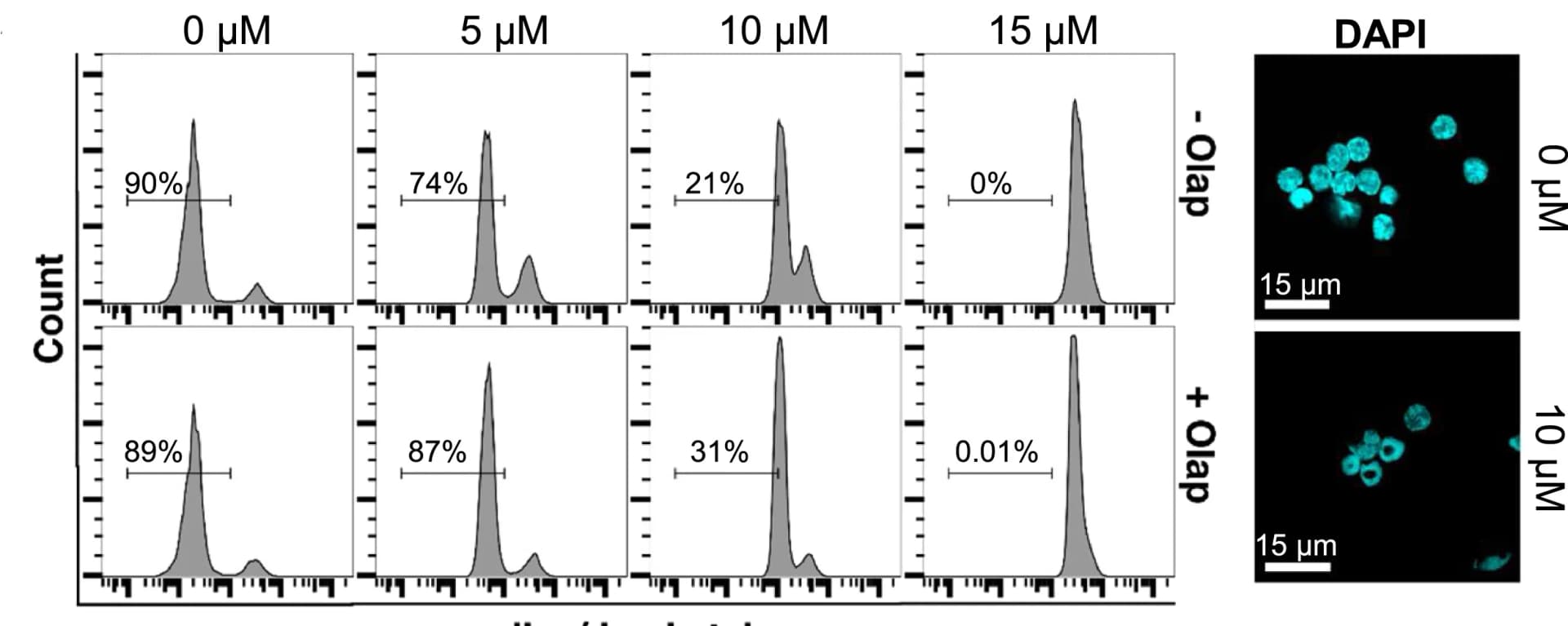 Open access visualization of Line Plot, Microscopy, PBMCs, PARP inhibitor, Olaparib