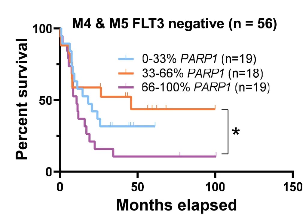 Open access visualization of Survival Curve, Line Step, Overall Survival, M4/M5 AML, FLT3 Wild-Type