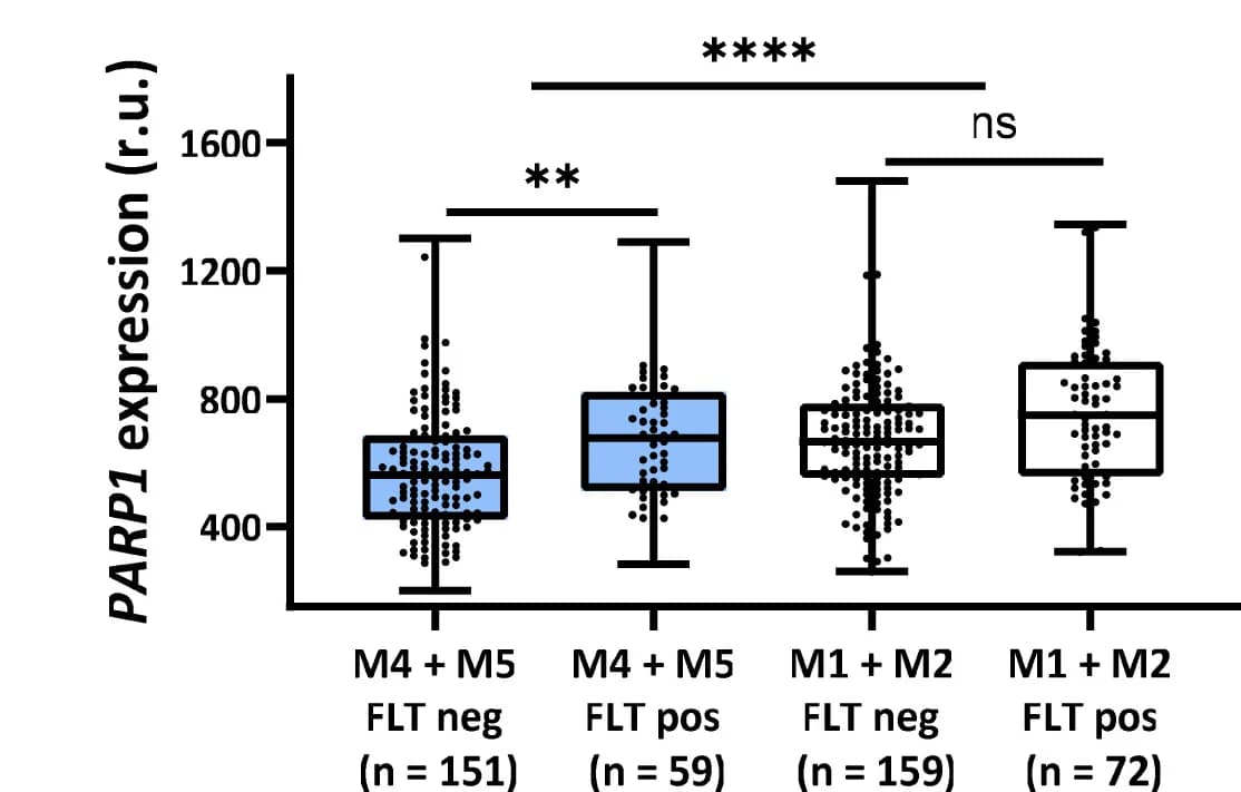 Open access visualization of Box Plot, Scatter Plot, Boxplot, PARP1 mRNA, FLT3 Mutation