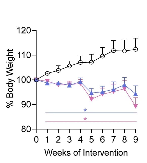 Open access visualization of Line Plot, Error Bars, Body Weight, Intervention