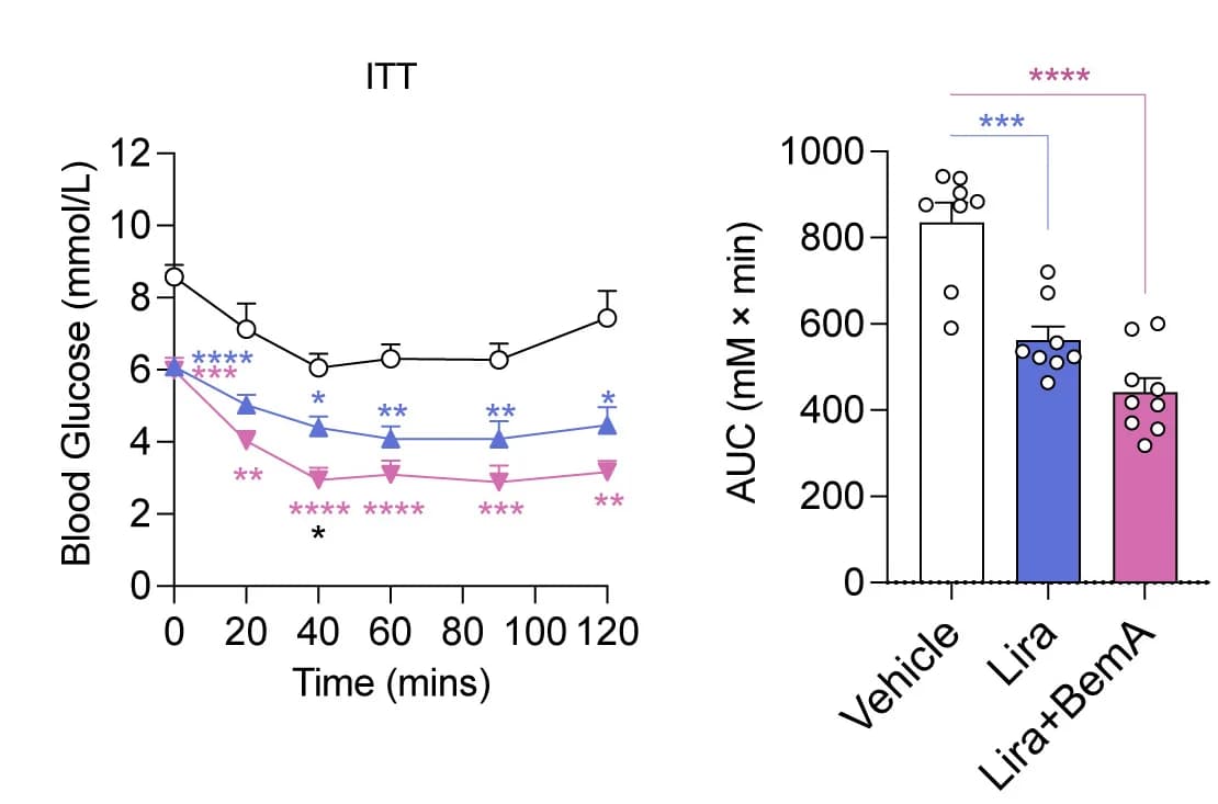 Open access visualization of Line Plot, Error Bars, Bar Plot, Intraperitoneal Insulin Tolerance Test, ITT